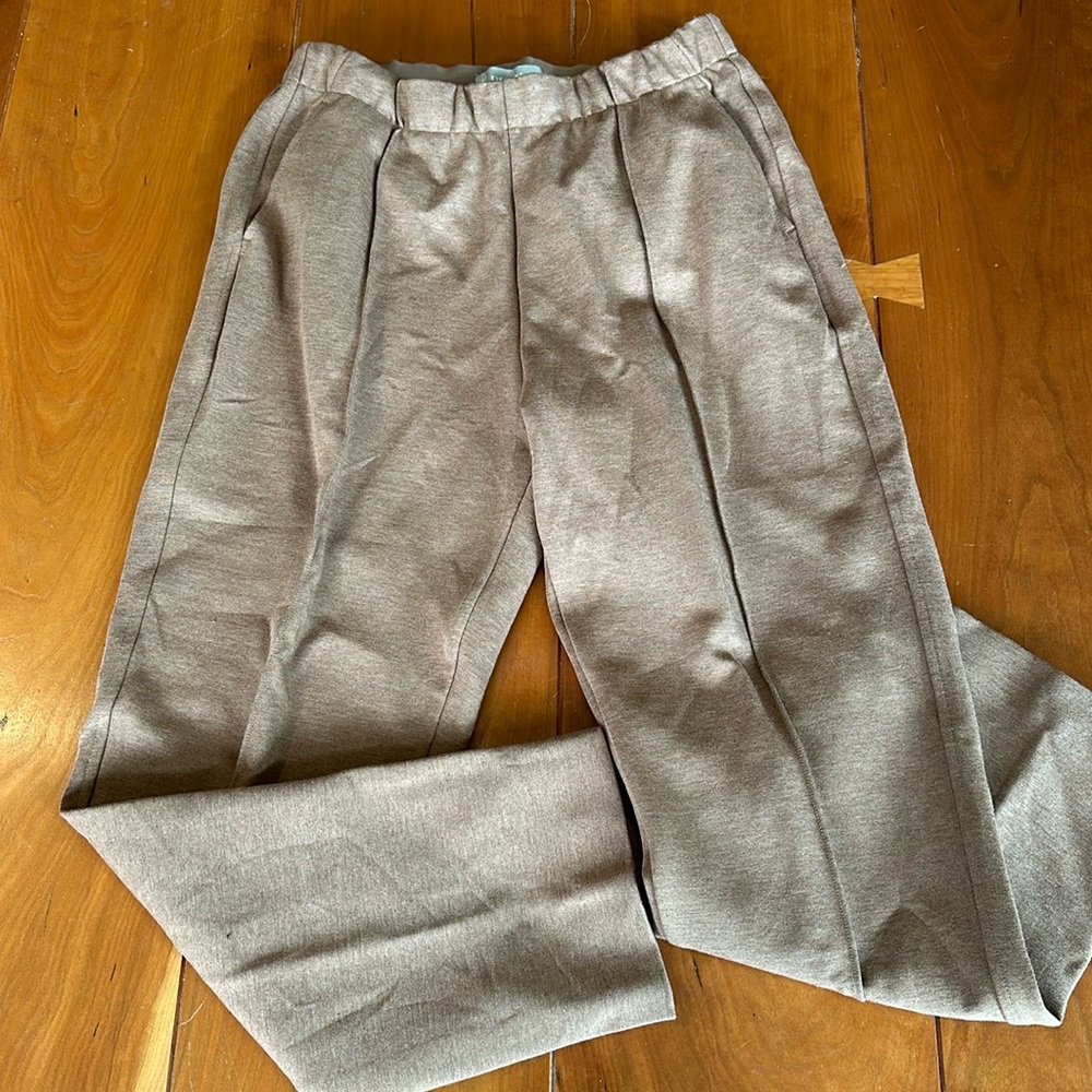 NWOT Everlane caramel color pants with elastic waist, M